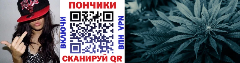 купить наркотики цена  Белозерск  Каннабис гибрид 